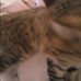 Sam Setzer - Facebook