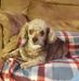 Sammy Setzer - Facebook