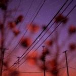 Shemeka Dinkel - @samuelsetzer119 - Instagram
