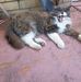 Sam Sgroi - Facebook