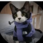 Samuel Shah - @samuelshah.person - Instagram