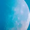 Samuel __ - @samuel.sheriff - TikTok