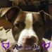 Sammy Shipley - Facebook