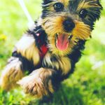 samuel - @samuelshipley699 - Instagram