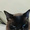 Samuel Sims - @samuel.sims - TikTok