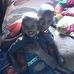 Samuel Simons - Facebook