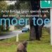 Samuel Simons - Facebook