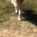 Samuel Singh - Facebook