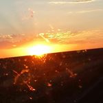 Samuel Singh - @samuel_singh_295 - Instagram