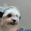 Samuel Sison - @samuel.sison12 - TikTok