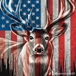 Samuel Skipper - Facebook