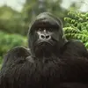 Samuel Slater - @samuelslater1 - TikTok