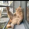Hola - @samuel_soltero - TikTok