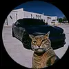 samuelsolterocard - @samuelsolterocard - TikTok
