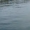 samueljackstead - @samueljackstead - TikTok