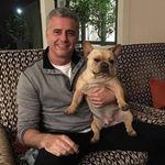 Samuel Sterling - @samule_sterling55 - Instagram