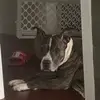 samuelsteckler - @samuelsteckler - TikTok