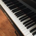 Samuel Strauss - @strauss.piano - Instagram