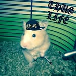 Samuel Suk - @samiksuk - Instagram