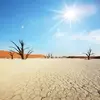 samuel.summer - @samuel.summer - TikTok