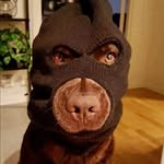 Samuel Sung - @samuel.sungs - Instagram