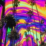 Samuel Tarr - @k_velzman - Instagram