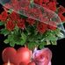 Samuel Tartee - Facebook
