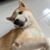 samuel - @samuel.tay27 - TikTok
