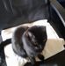 Samuel Thompkins - Facebook