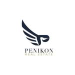 Samuel Tilahun - @penikonrealestatemarketing - Instagram