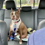 Samuel Tindle - @stindlejr - Instagram