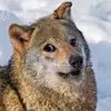 Samuel Toledo - @sam.t22 - TikTok