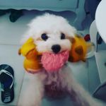 (  :    samuel trapp - @rsrs_kska - Instagram