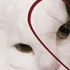 samuel Trejo - @samuel.trejo64 - TikTok