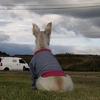 Samuel Veloza - @samuelveloza1 - TikTok