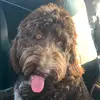 Samuel - @samuel.vinson_ - TikTok