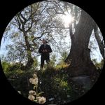 Samuel vitale sax - @samuel_vitale_sax - Instagram