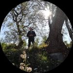 Samuel Vitale Sax - @sax.samuelvitale - Instagram