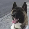 Samuel Vivar - @samuel.vivar1 - TikTok