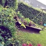 InstagraphyNL - @samuelvosssie - Instagram