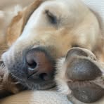 Samuel Voss - Facebook
