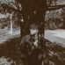 Samuel Waldron - Facebook