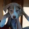 Samuel Walker - @samuel.walker72 - TikTok