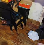 Samuel Walker - Facebook