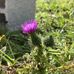 Samuel Whitehead - Facebook