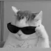 euSamu - @samuelwill - TikTok