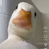 Samuel - @samuelwill234 - TikTok