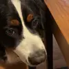 sam.wilton - @sam.wilton - TikTok