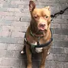 Samuel Winchester - @samuel.winchester57 - TikTok