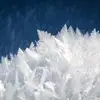 samuel.winter - @samuel.winter - TikTok